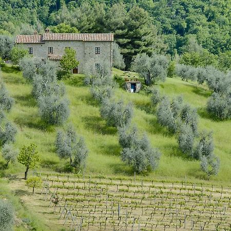 Agriturismo Bindozzino Castiglione d'Orcia Luaran gambar