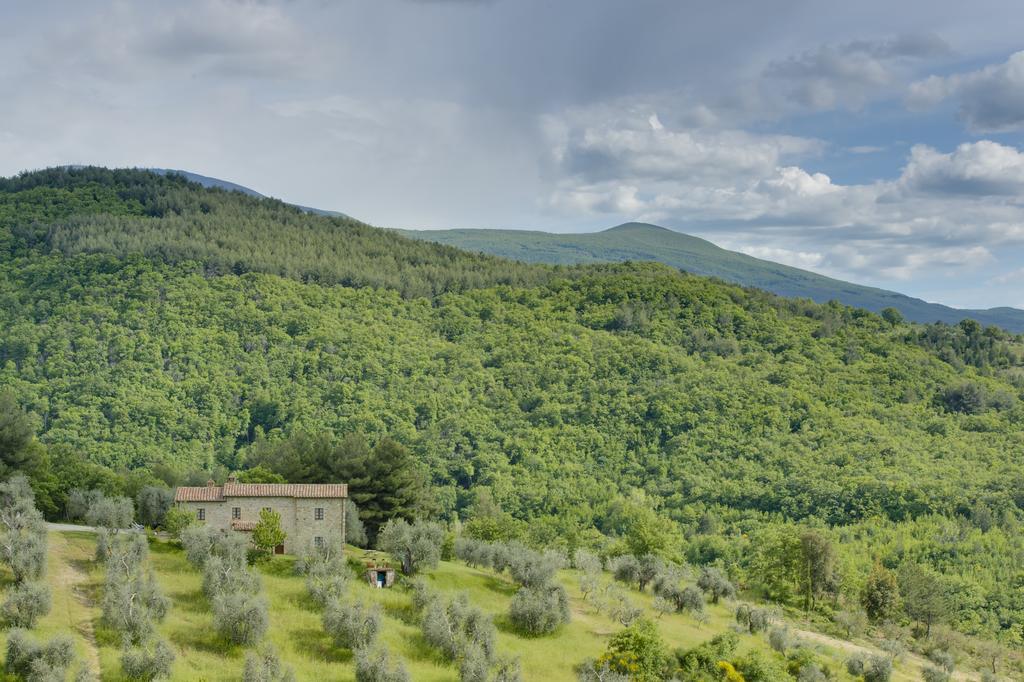 Agriturismo Bindozzino Castiglione d'Orcia Luaran gambar