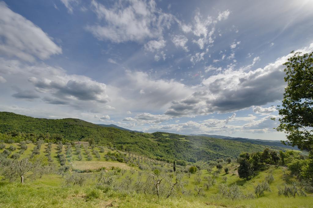 Agriturismo Bindozzino Castiglione d'Orcia Luaran gambar